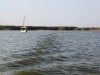 albufera9
